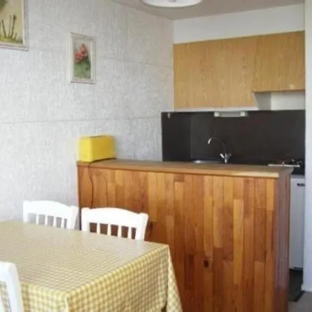 Apartman Besse-et-saint-anastaise-super Besse, 1 Piece, 4 Personnes - Fr-1-395-16 Super Besse